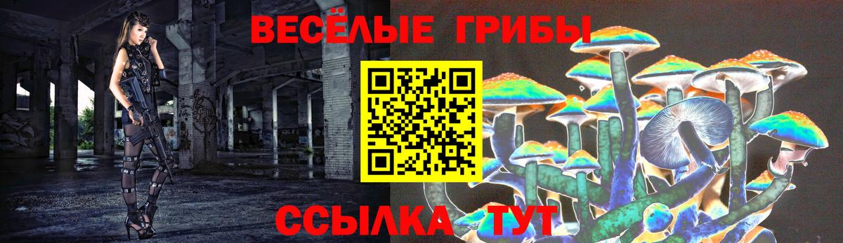 Псилоцибиновые грибы Magic Shrooms Ялуторовск