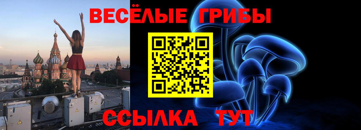 Псилоцибиновые грибы мицелий  Псилоцибиновые грибы MAGIC MUSHROOMS  Ялуторовск  Вход с VPN 
